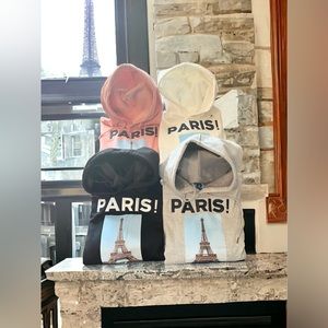 3D Embroidery, 420g, Fox Velvet New French Hoodie 100 percent cotton